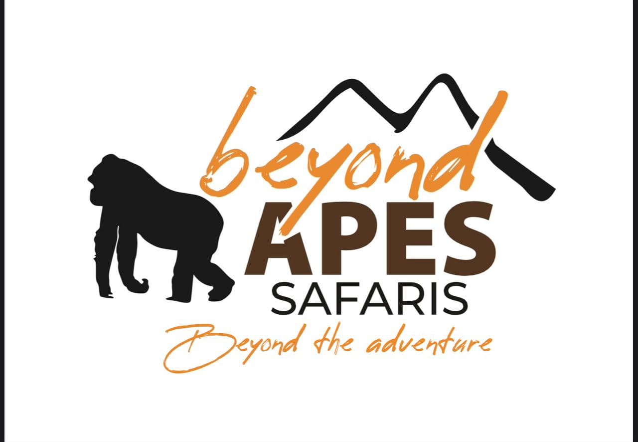Beyond Apes Safaris