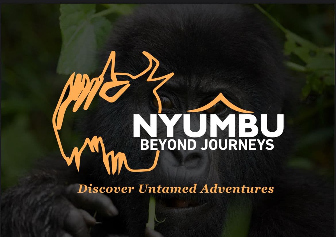 Nyumbu Beyond Journeys