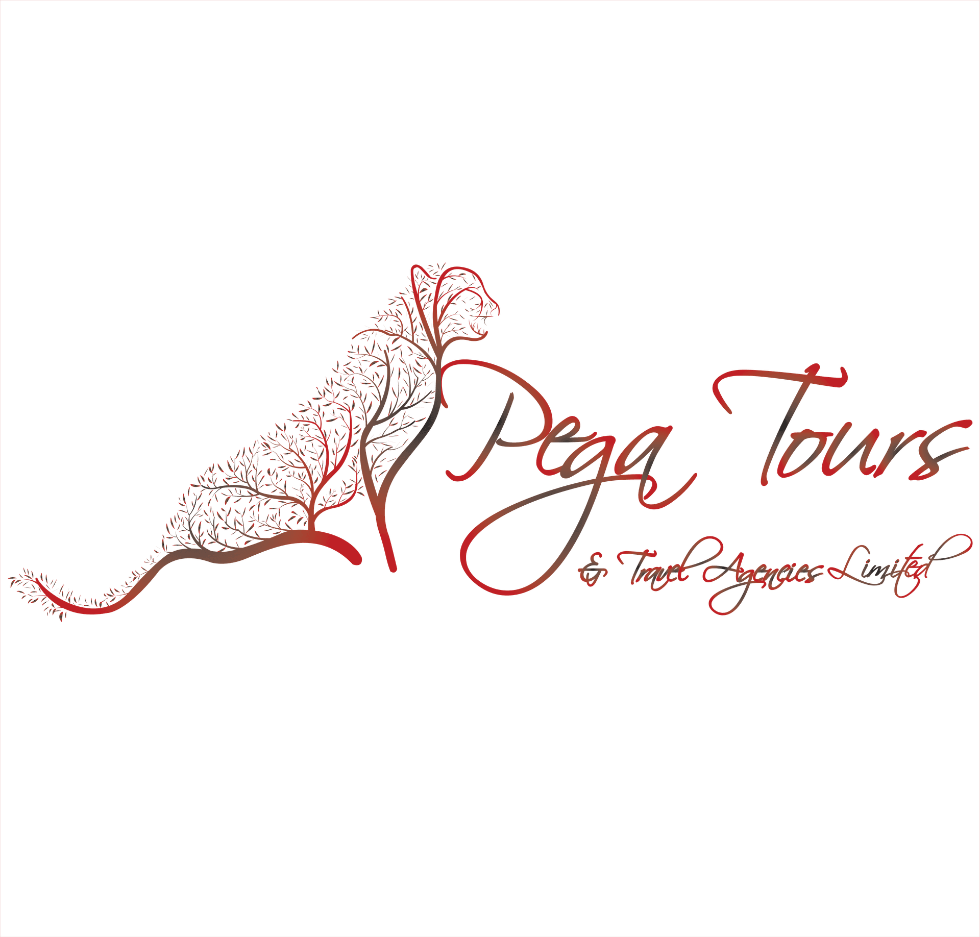 PEGA TOURS AND TRAVEL AGENCIES