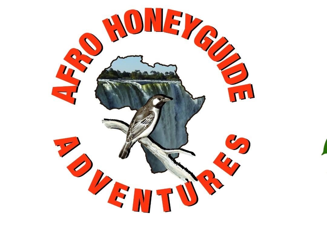 Nayes Travel and Tours t/a Afro Honeyguide Adventures