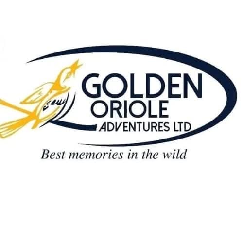 Golden oriole adventures limited