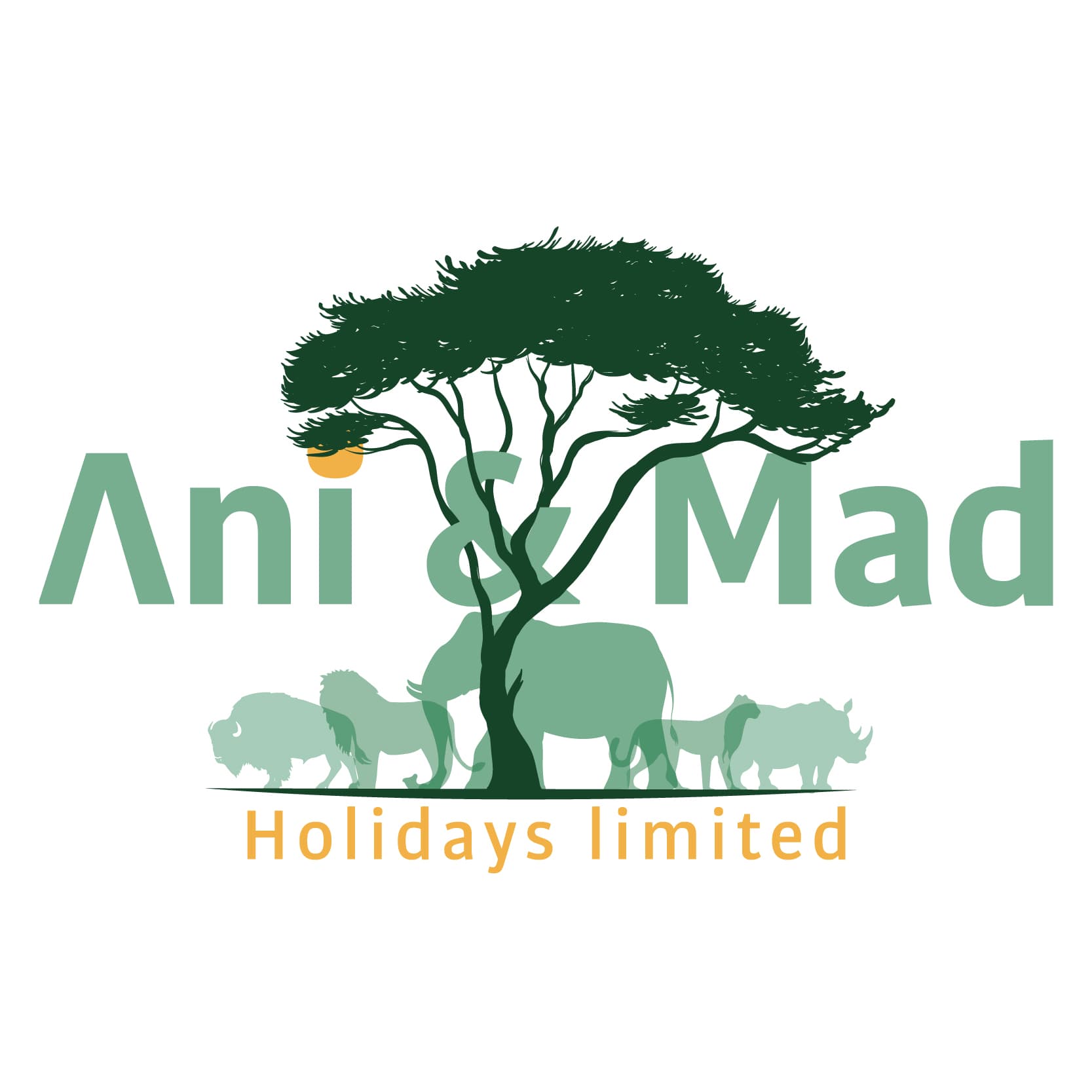 Ani & Mad Holidays Limited