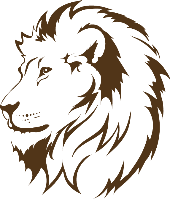 RSGN SAFARI & EXCURSION LIMITED