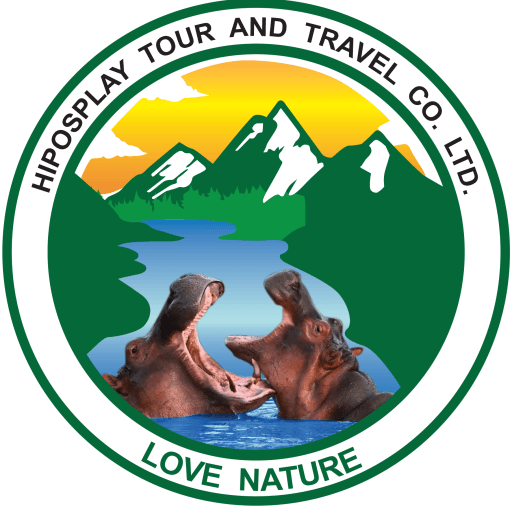 Hiposplay Tours and Travel Co. Ltd