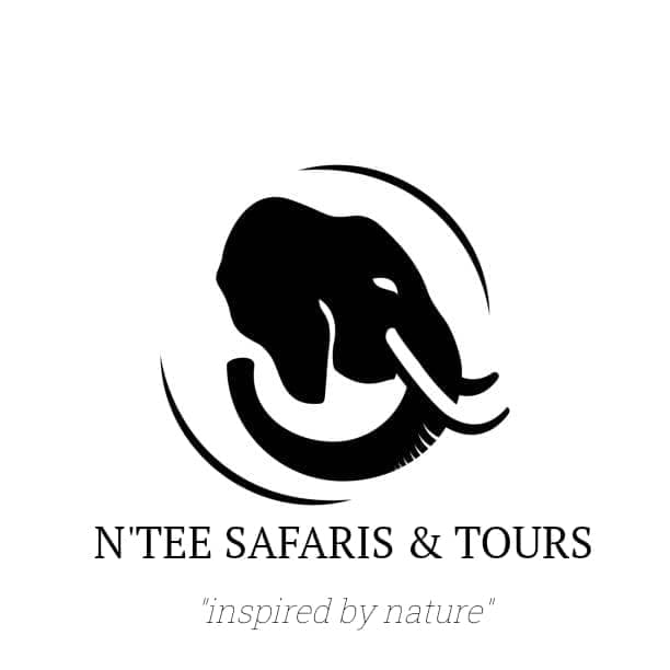 N'tee safaris and tours