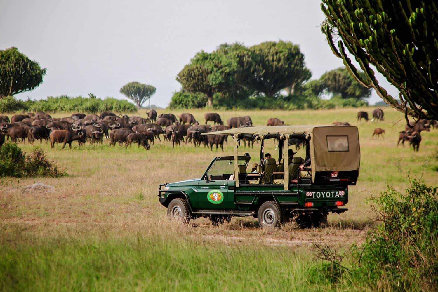 11-Days Uganda's Complete Northern Safari Explorer