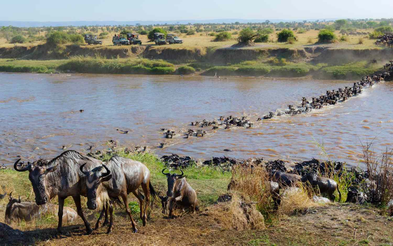 Maasai Mara National Reserve
