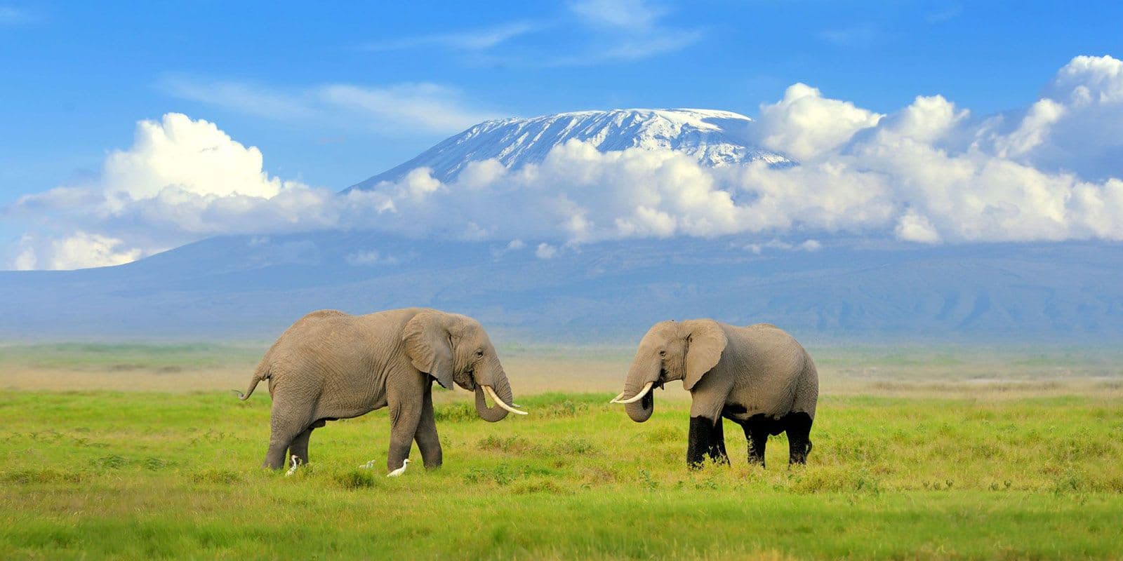 10-Days Kenya's Golden Circle Safari Adventure