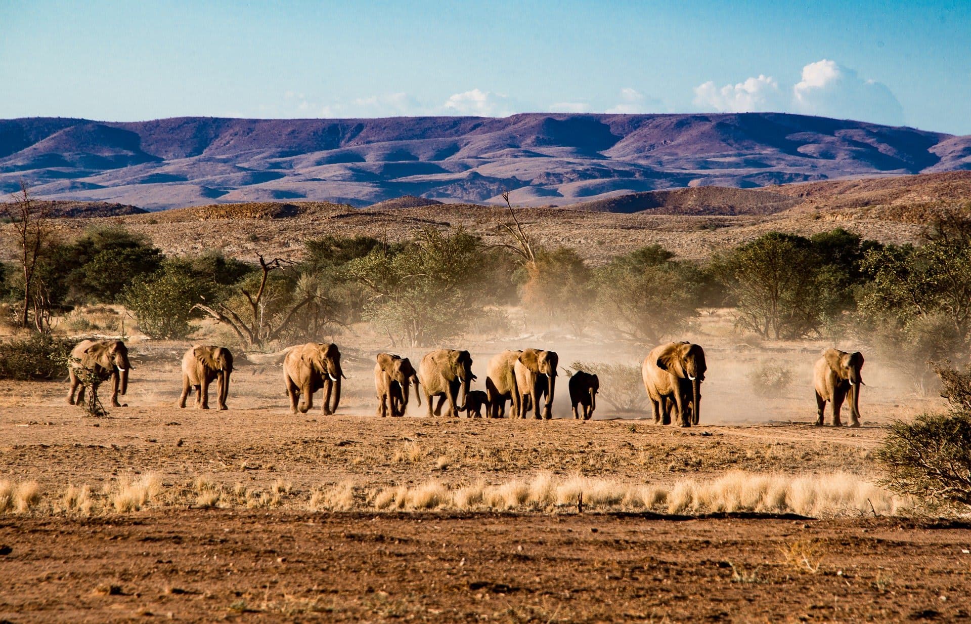 10-Days Namibia's Greatest Wildlife Adventure Self-Drive