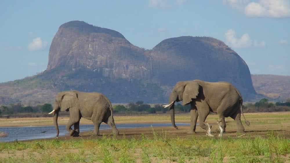 Seven Days of Mozambique's Untamed Wilderness
