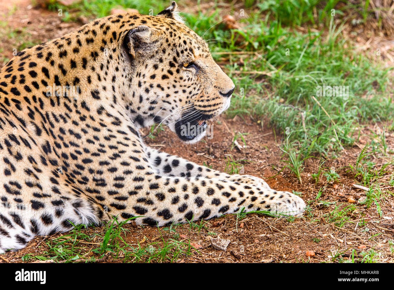 10-Days Namibia's Ultimate Wilderness Discovery