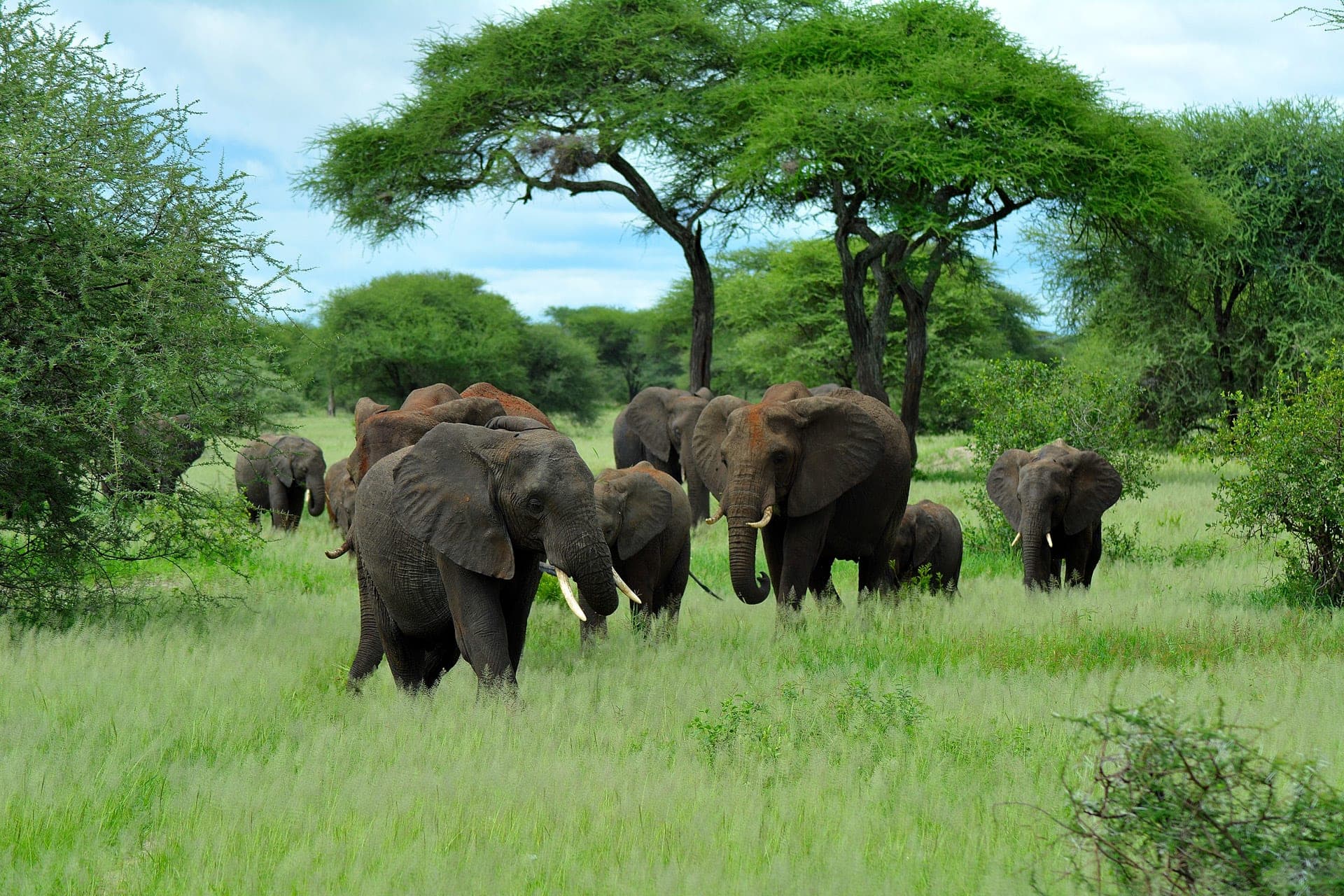 5-Days Tanzania's Ultimate Big Five Experience