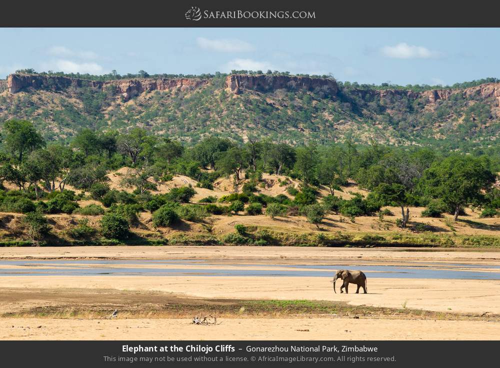 5-Days Southern Mozambique's Untamed Wilderness Explorer