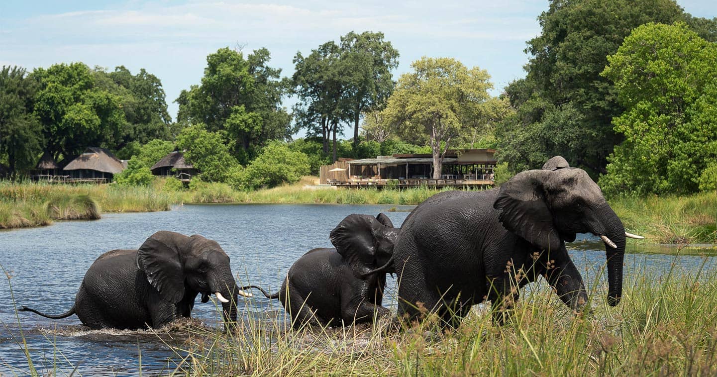 3-Days Chobe Wildlife Explorer: Budget Safari Adventure