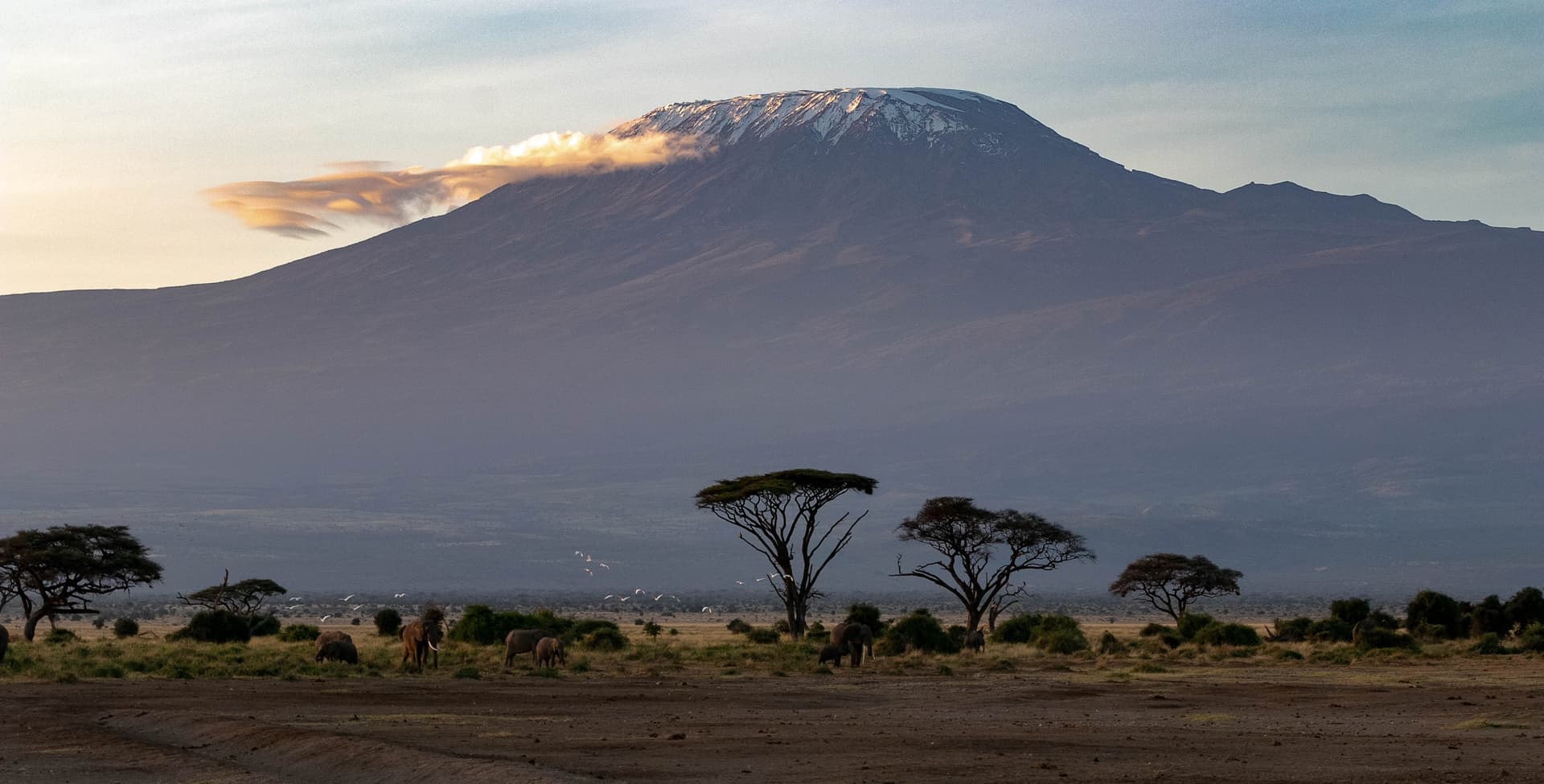 6-Day Iconic Safari across Majestic Amboseli National Park and Maasai Mara National Reserve