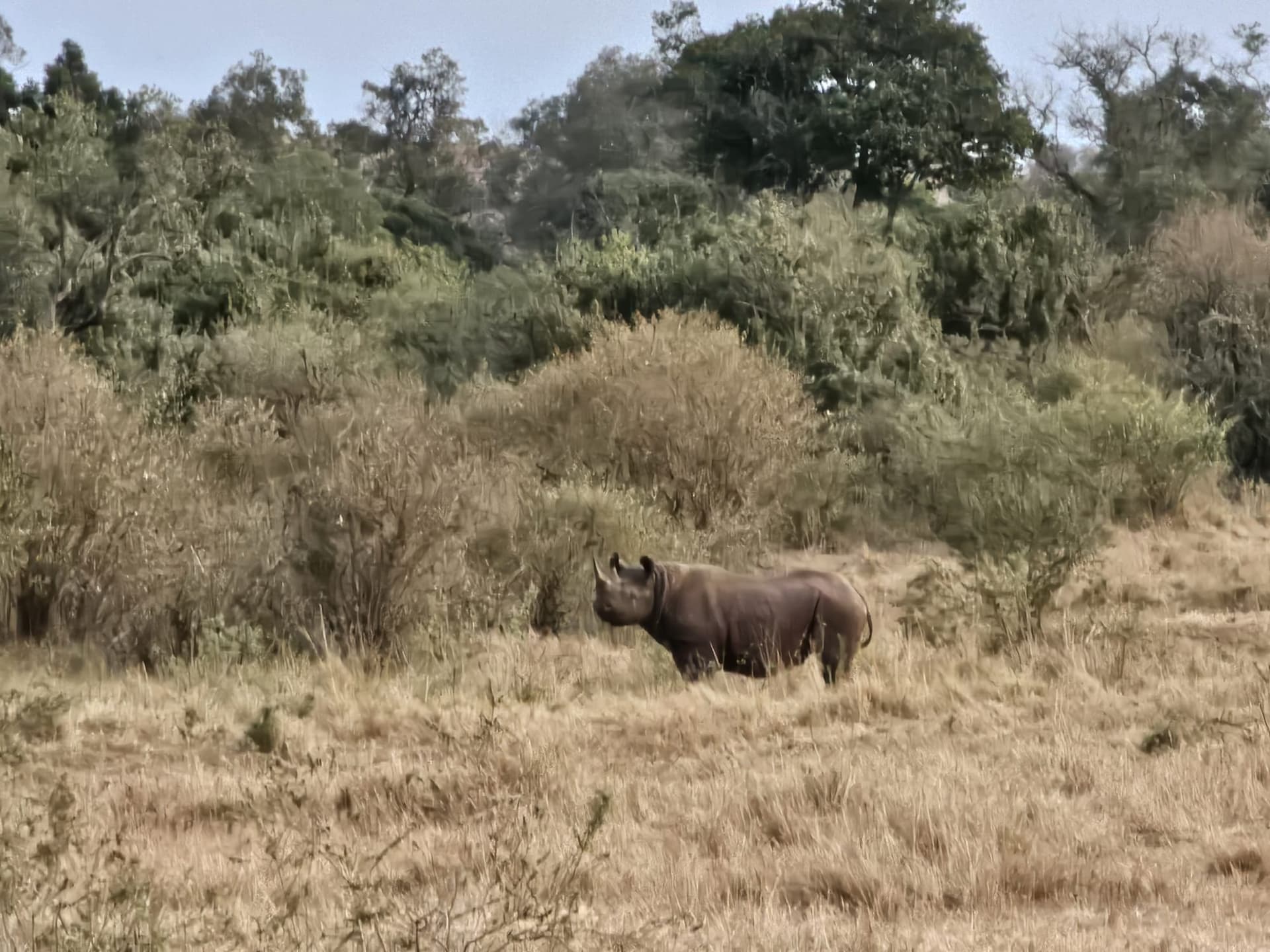 3-Day Uganda Gorilla Tour