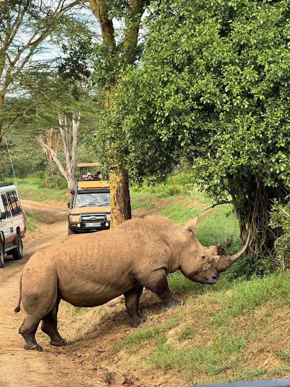 1-Day Hells Gate Safari, Boat Ride & Crescent Island - Gallery 3