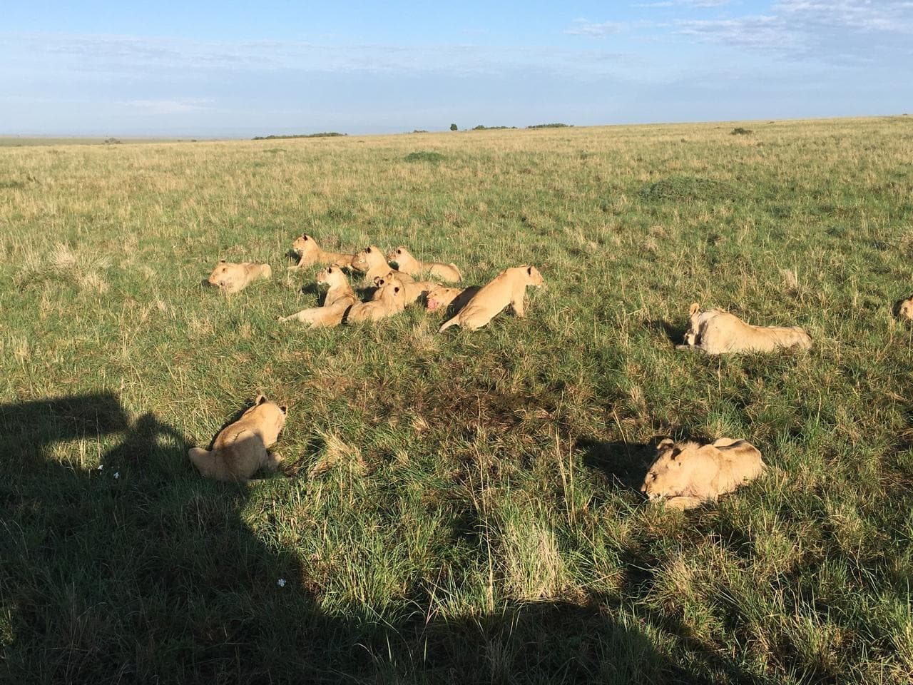 8-Day Aberdares|L Nakuru NP|Masai Mara NR Budget Safari - Gallery 2