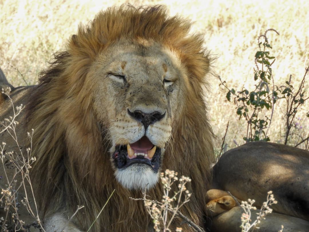 7-Day Where Wilderness Meets Tradition