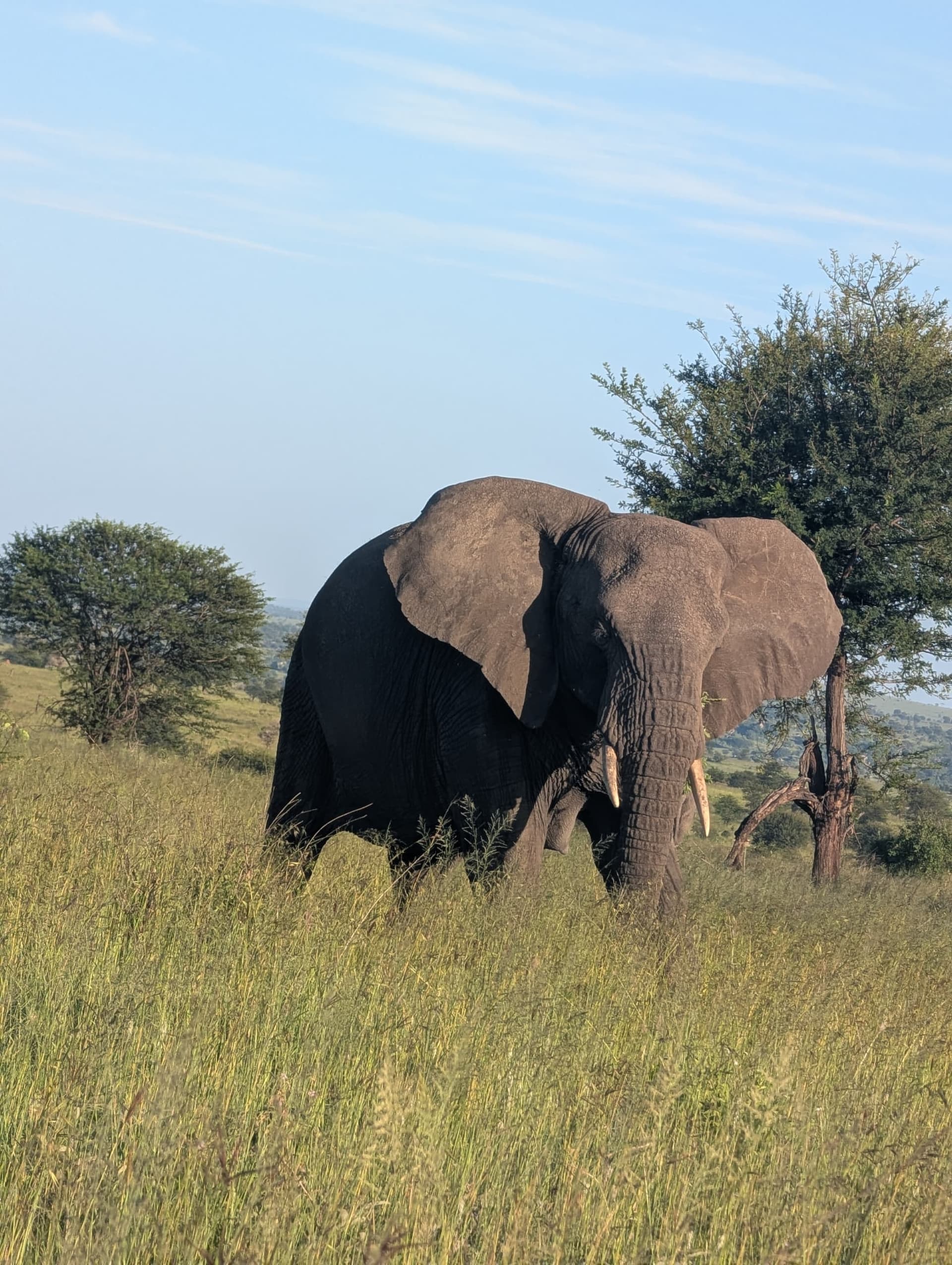 3-Day Group Safari - Serengeti & Ngorongoro Crater