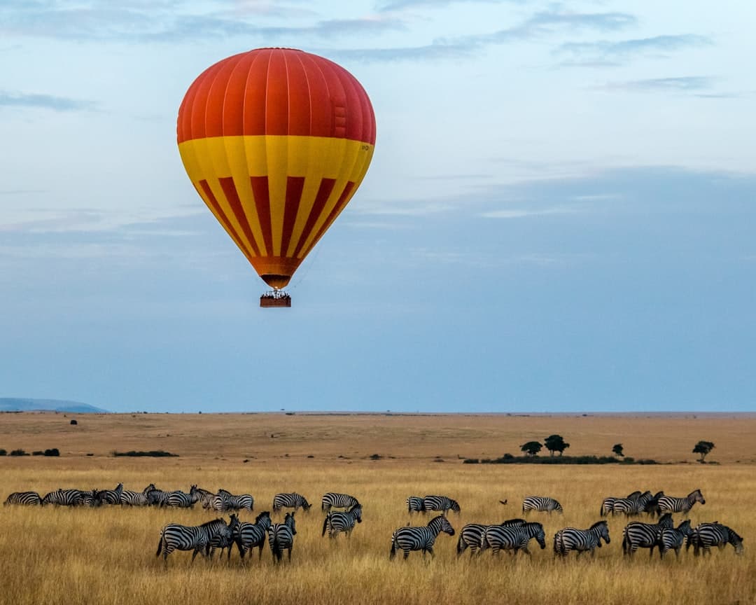 Best Budget Kenya Safari Packages Under $2500 for First-Time Chinese Travelers