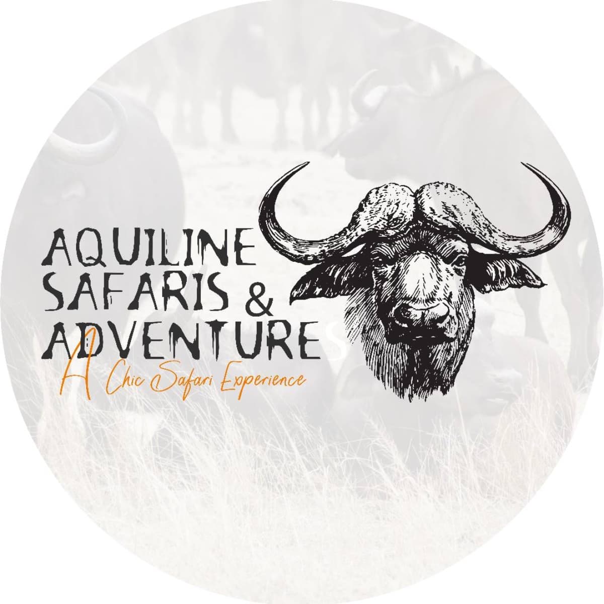Aquiline Safaris