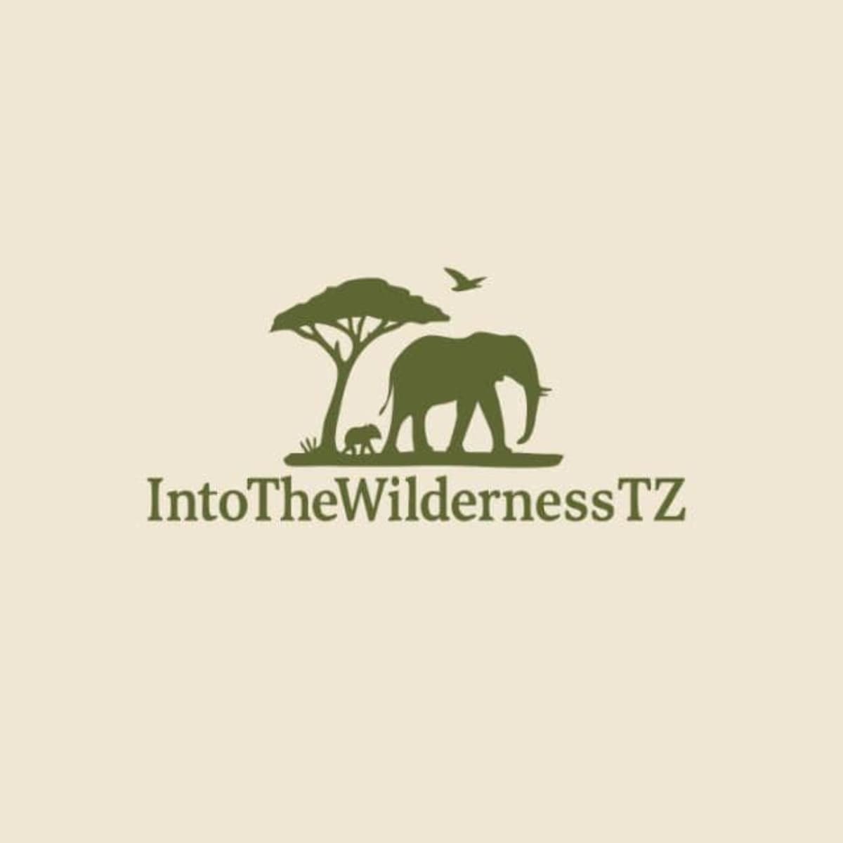 IntoTheWilderness