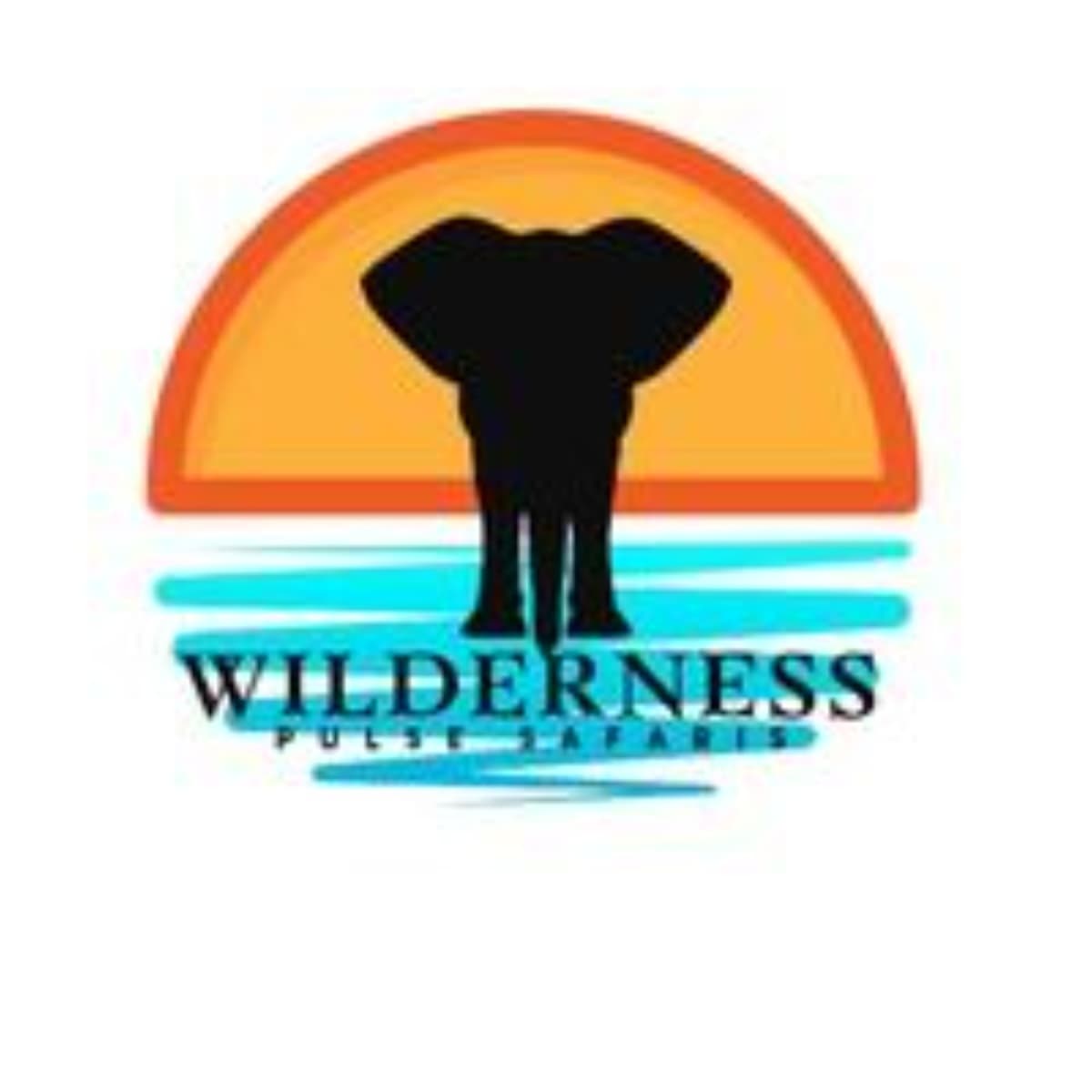 Wilderness Pulse Safaris