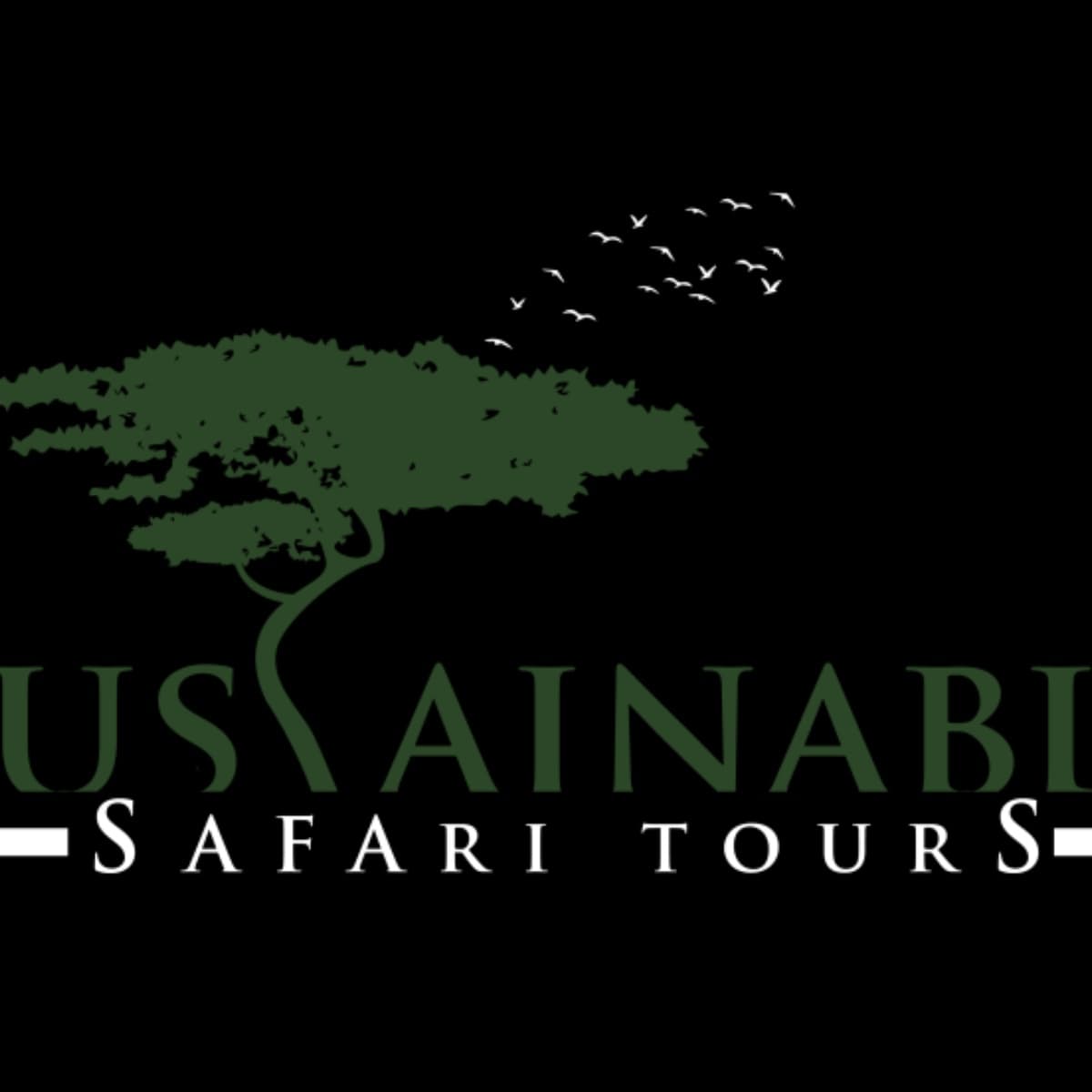 Sustainable Safari Tours