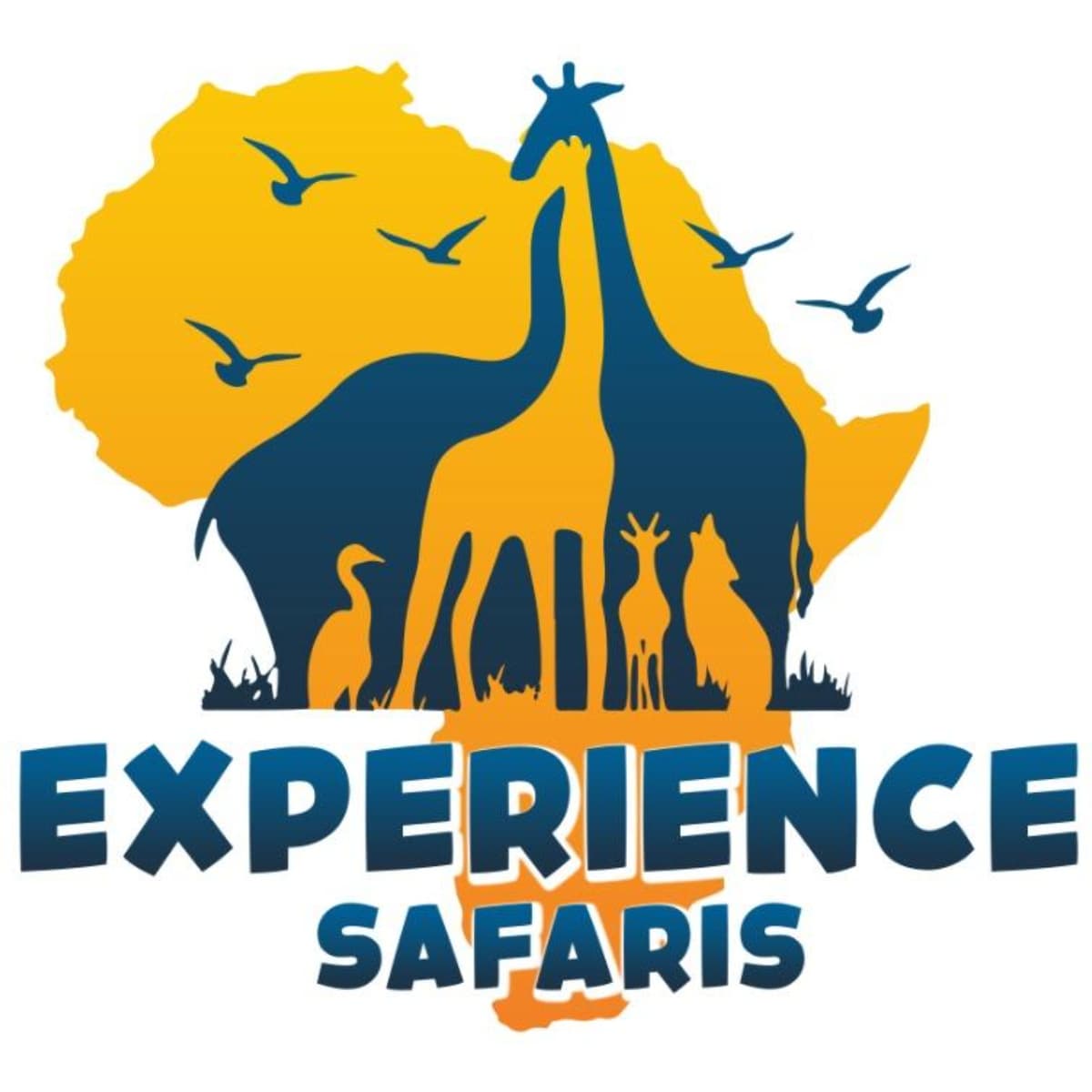 Experience safaris