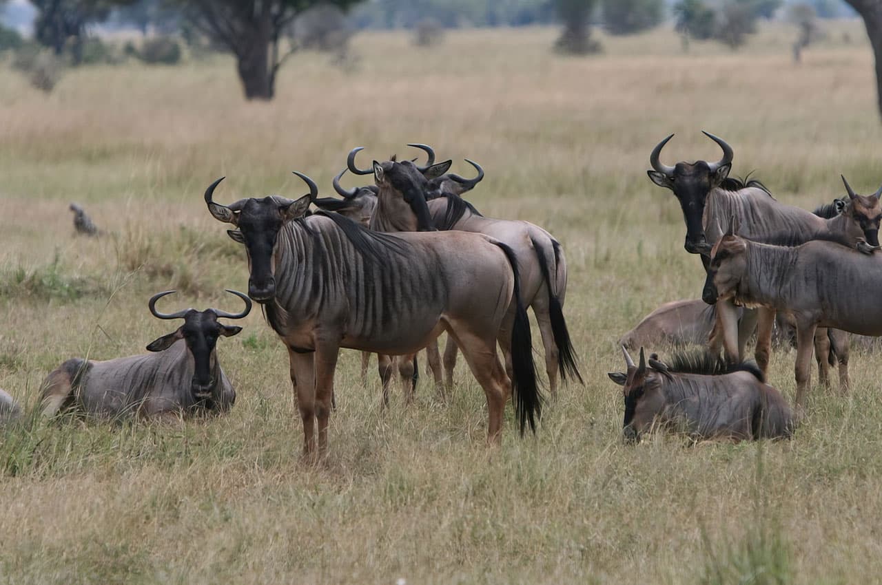 3-Day GREAT ADVENTURE IN MIKUMI NATIONAL PARK