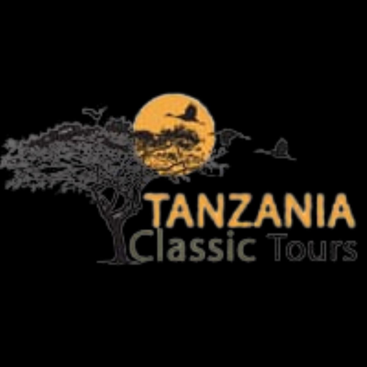 Tanzania Classic Tours