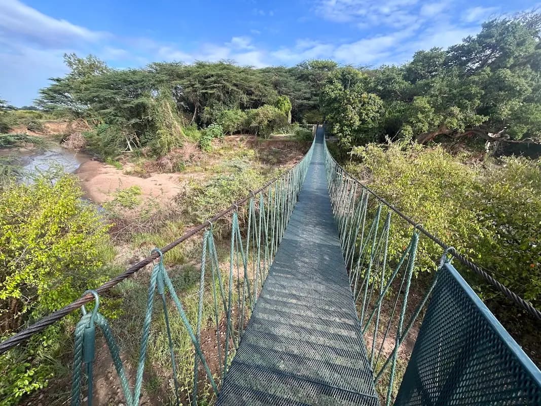 4-Day Mara Safari Escape at Tipilikwani