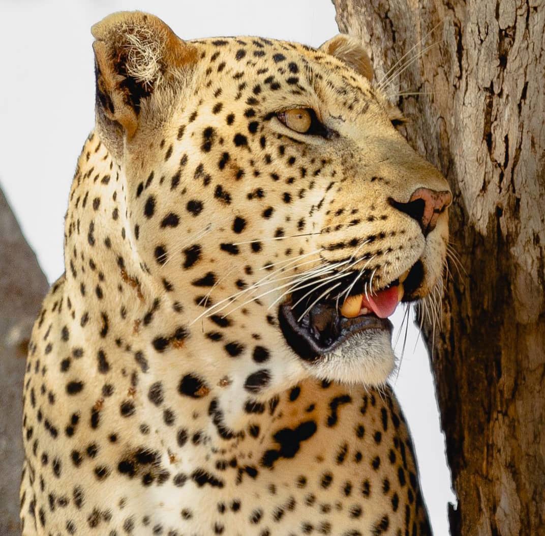 1-Day Mikumi Np by SGR