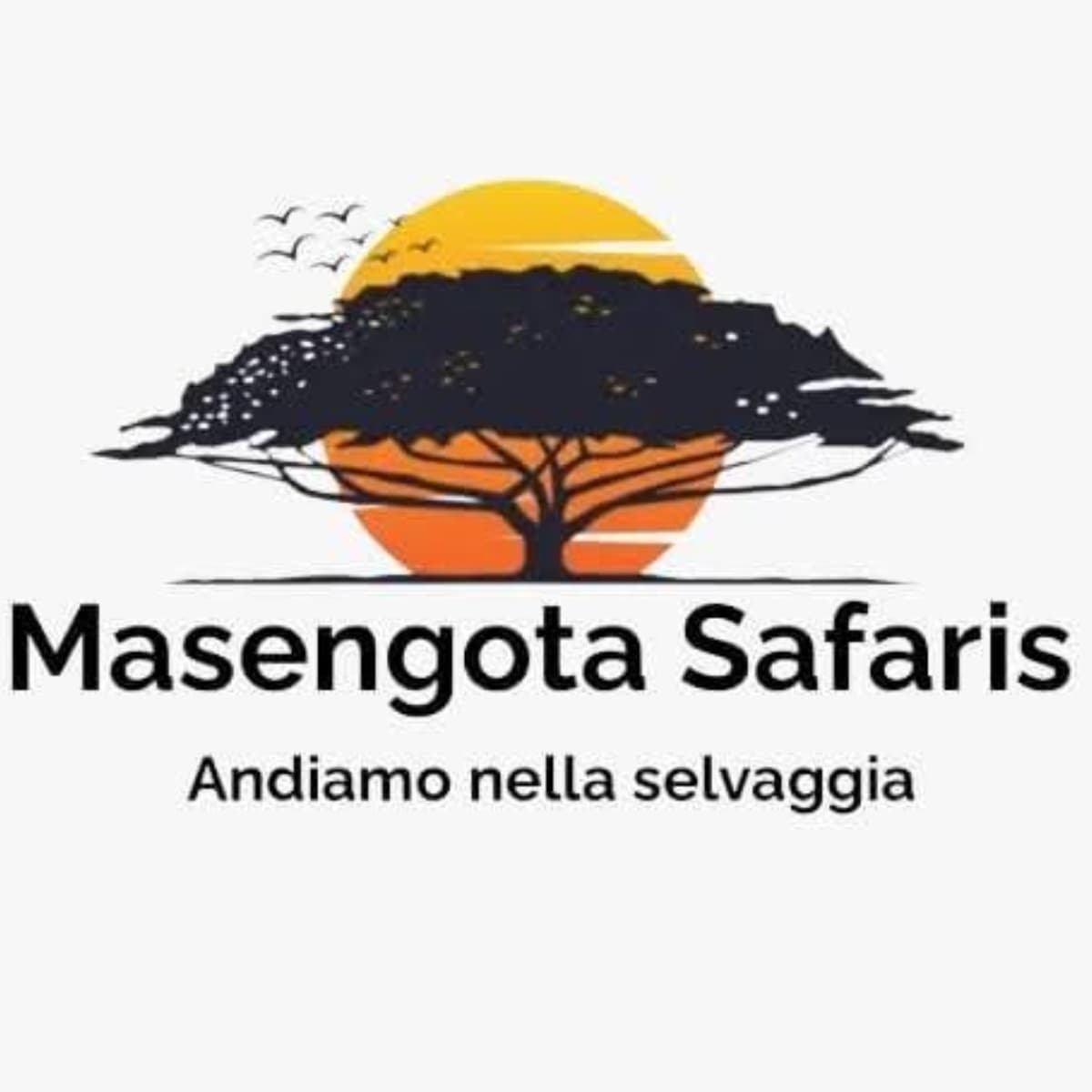 MASENGOTA SAFARIS
