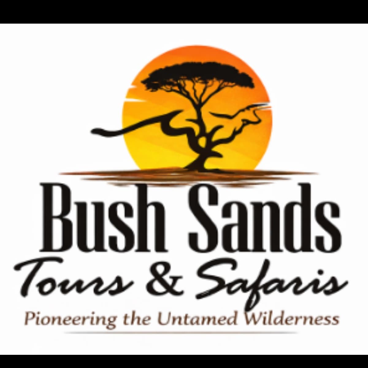 Bush Sands Tours & Safaris