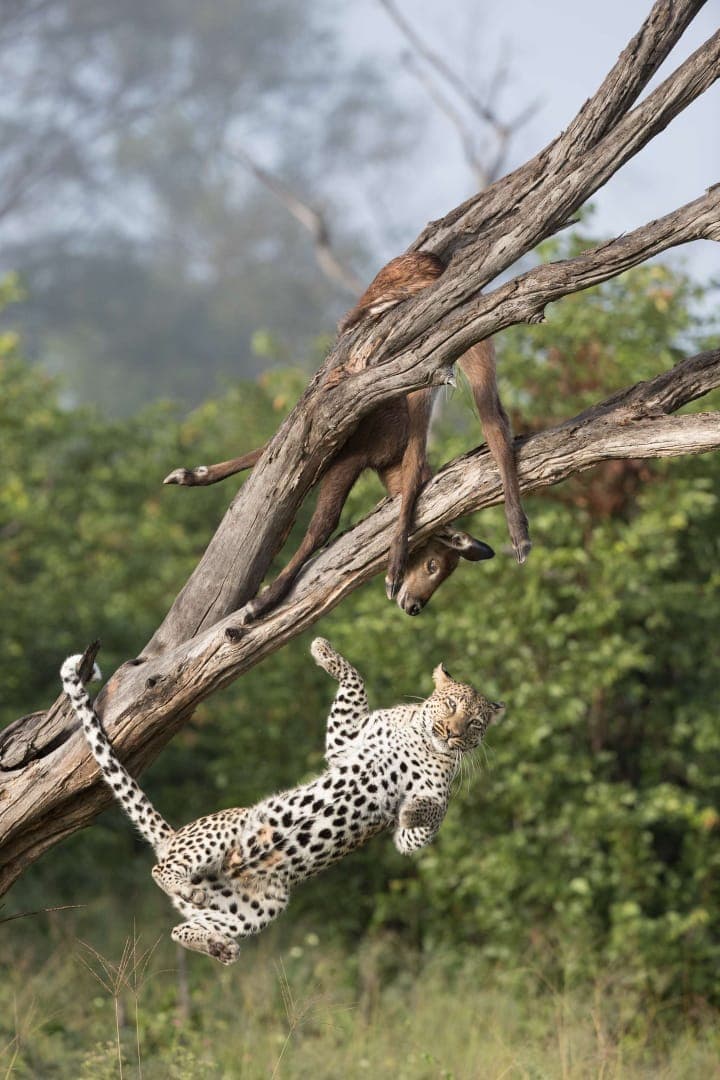 3-Day Serengeti & Ngorongoro Safari Experience