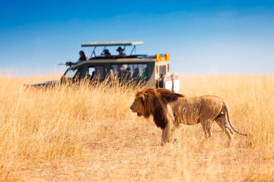 9-Day Great Migration Safari (Luxury)