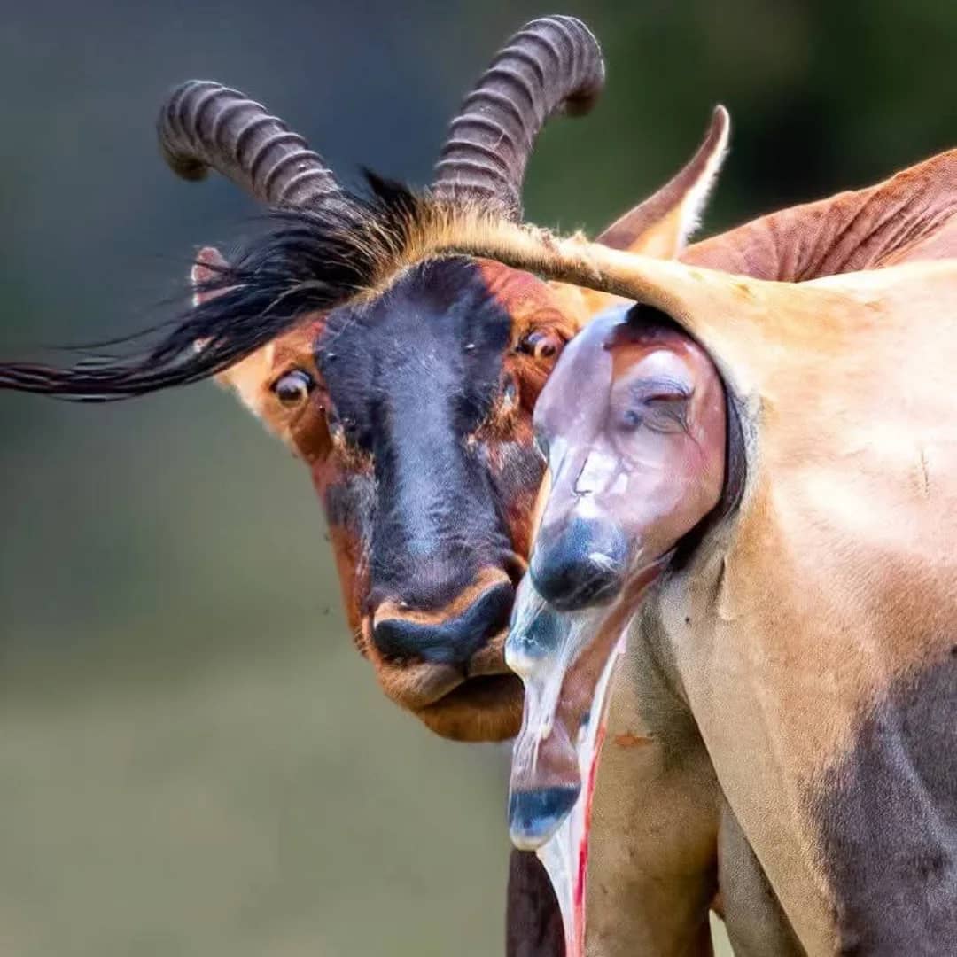 5-Day Exploring the World in Five Days