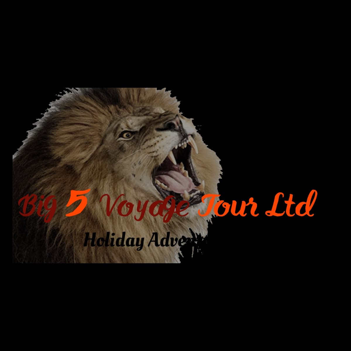 Big 5 Voyage Limited