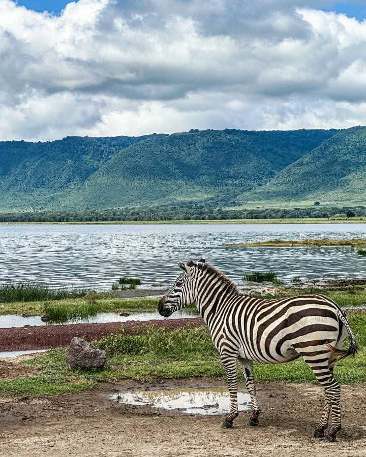 3-Day 3-Day Budget Trip to Tarangire, Ngorongoro and Manyara