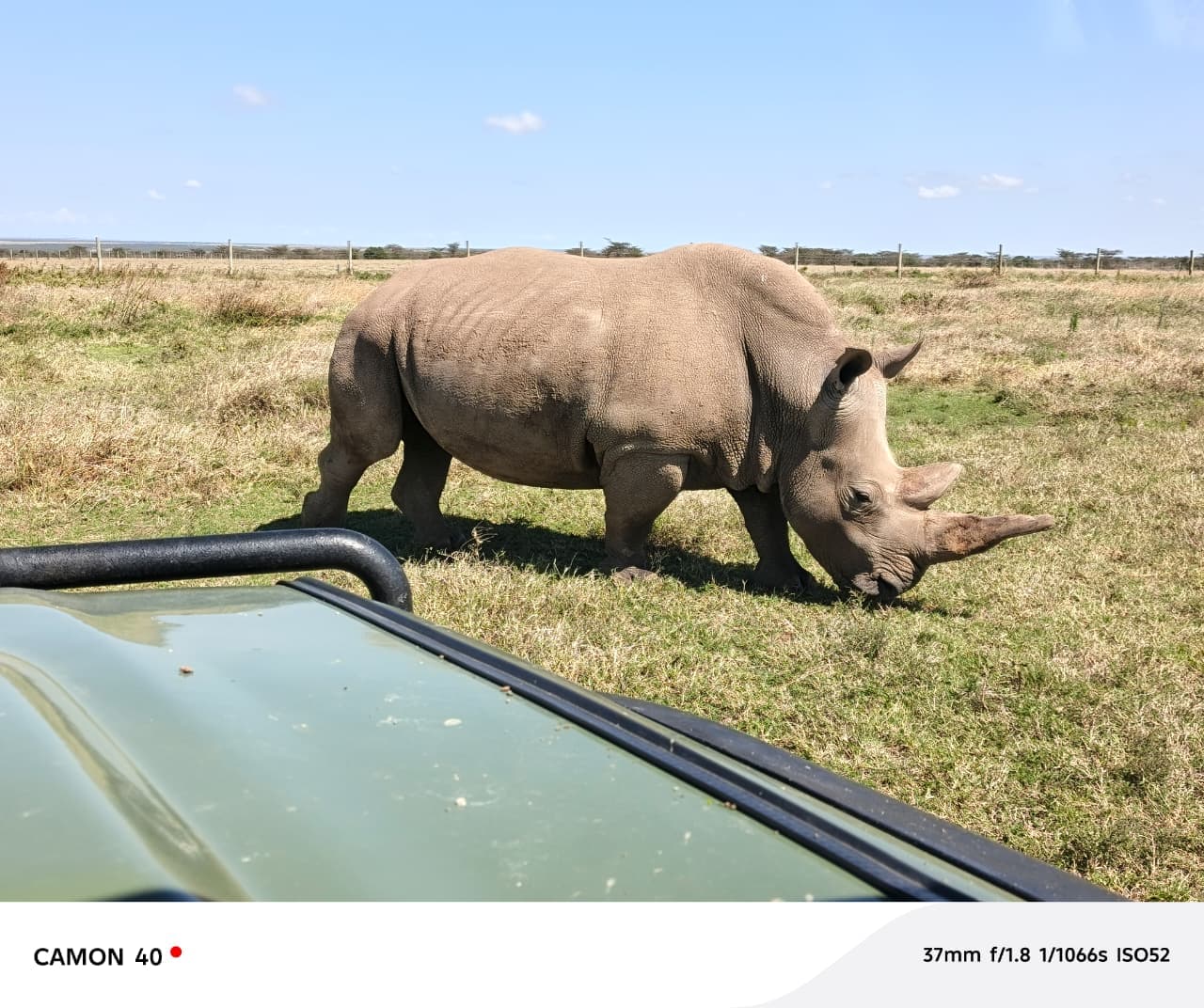 7-Day Eastern Kenya Circuit Safari- Olpejeta, Meru NP Samburu NR