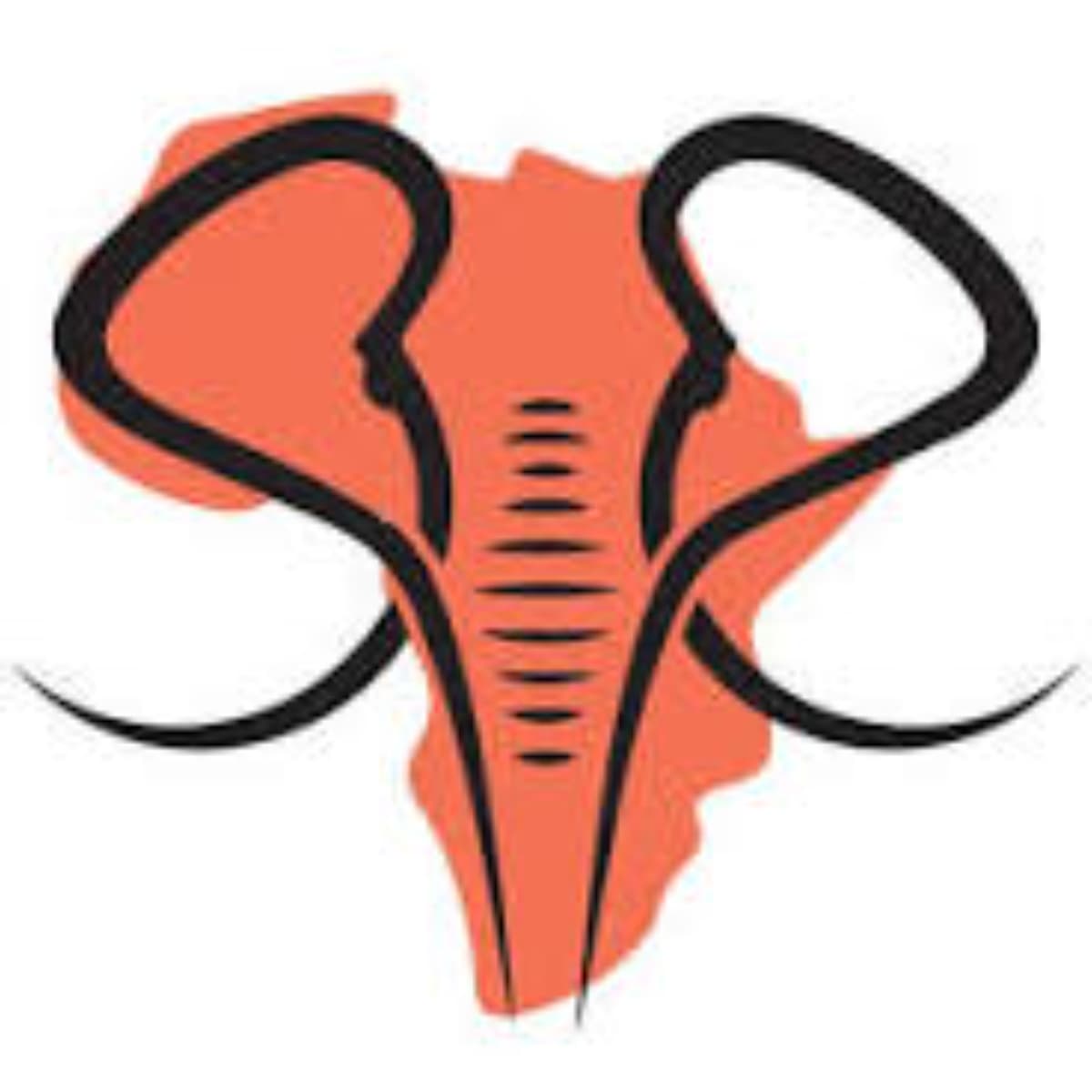 Future African Safari