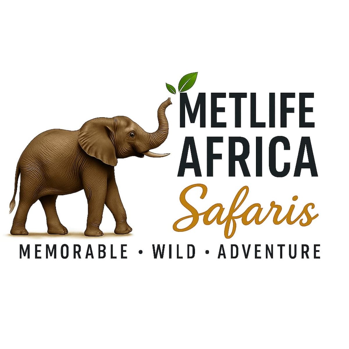 MetLife Africa Safaris Ltd
