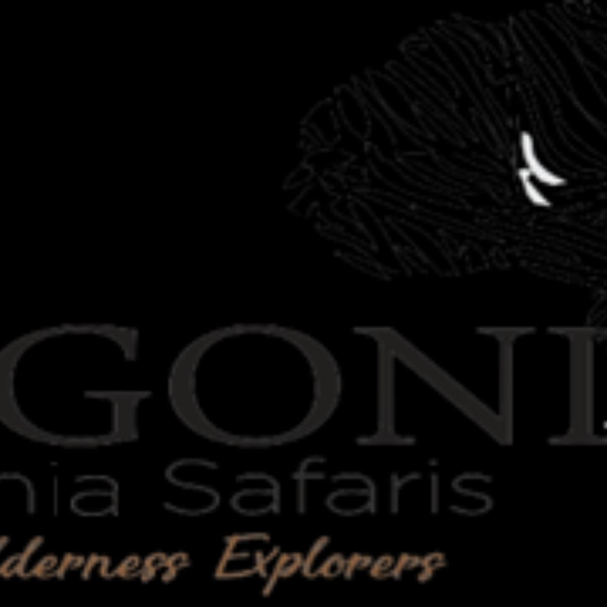 kimgoni Tanzania safaris