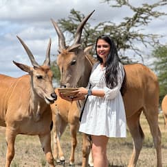 1-Day Trip: Serval Wildlife Sanctuary Experience