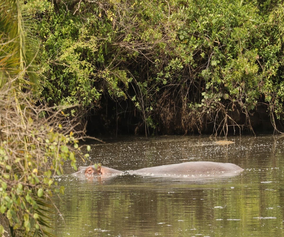3-Day Serengeti Fun Safari