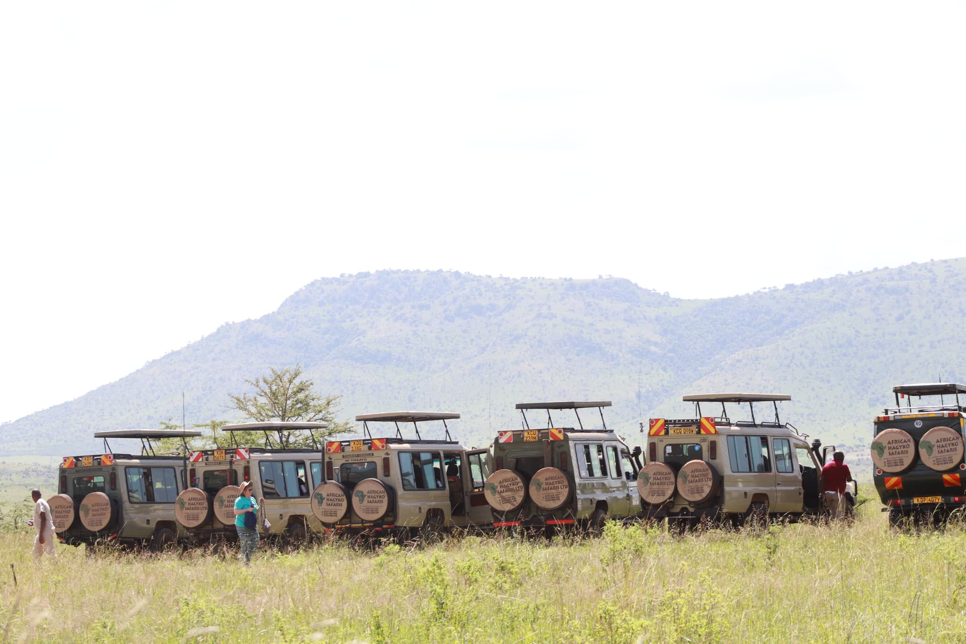 1-Day Nairobi Full-Day Wildlife & City Excursion