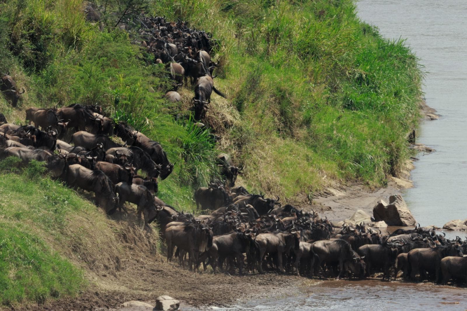 6-Day Northern circuit safari experience