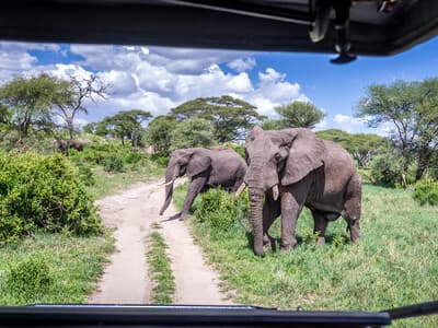 6-Day Relaxing Escape to the Beautiful Country – Tanzania - Gallery 1